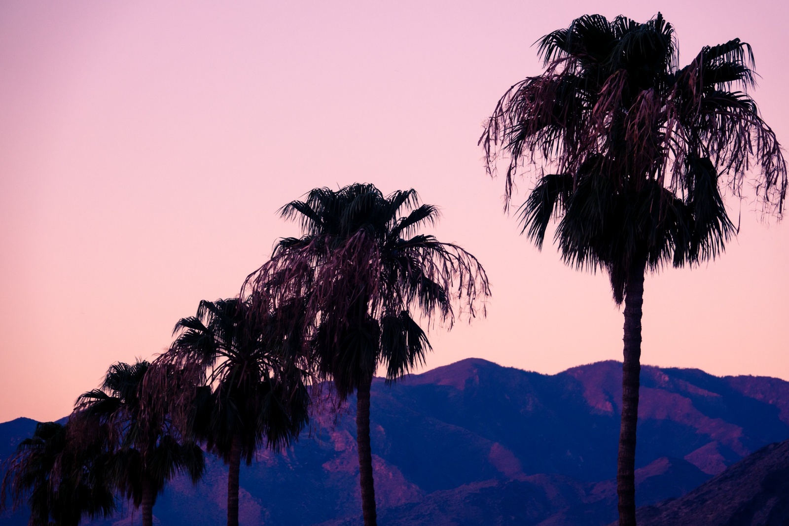 web_iStock-1135325738